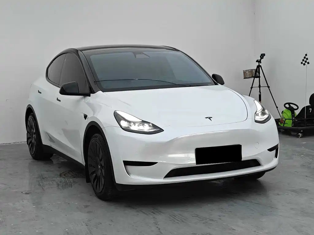 Tesla Model Y — фото 3