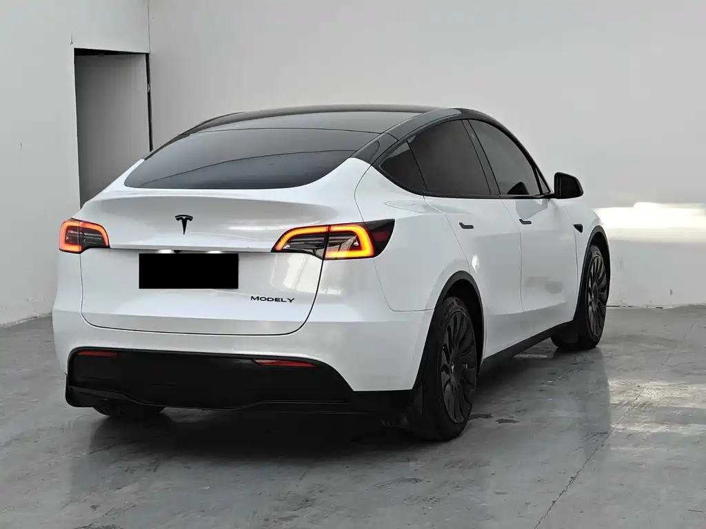 Tesla Model Y — фото 7