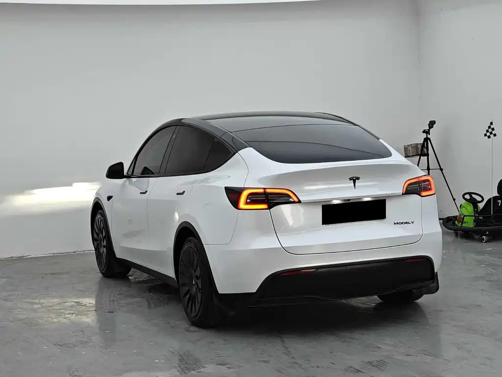 Tesla Model Y — фото 9