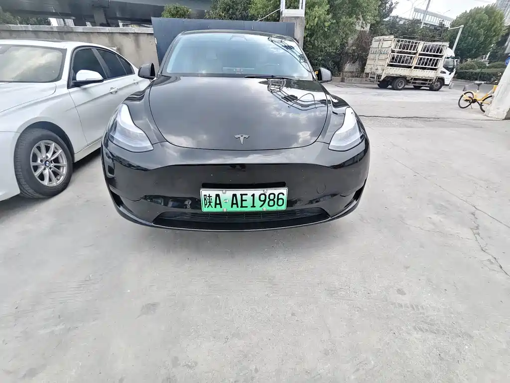 Tesla Model Y — фото 2