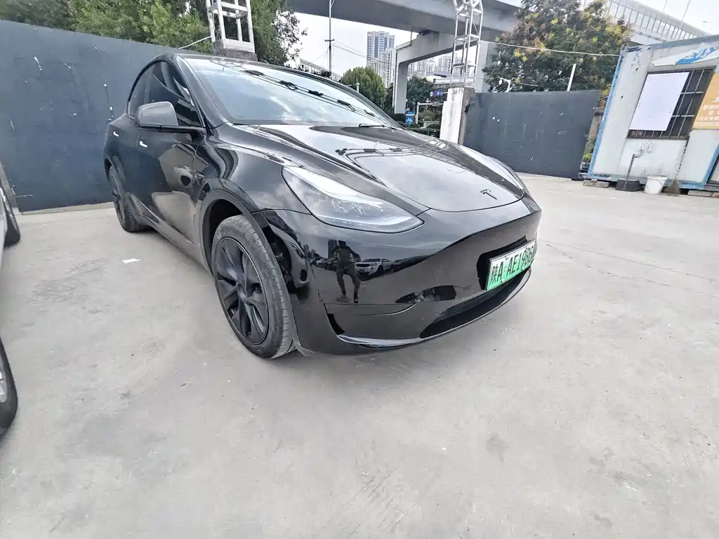 Tesla Model Y — фото 3