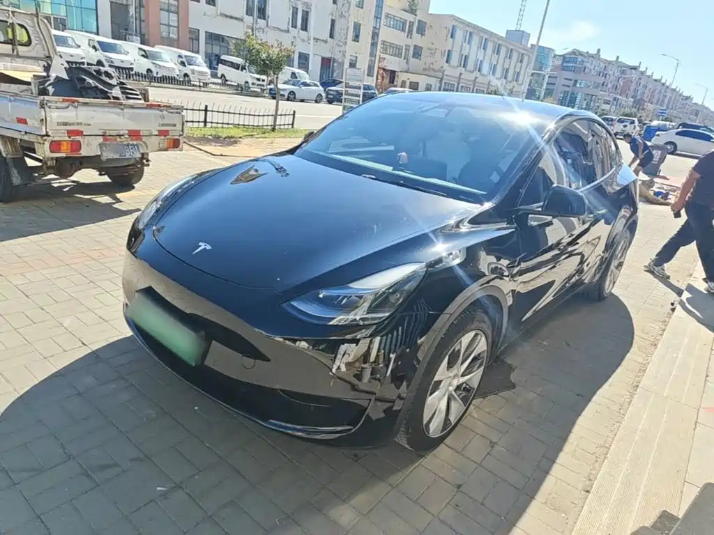 Tesla Model Y — фото 2