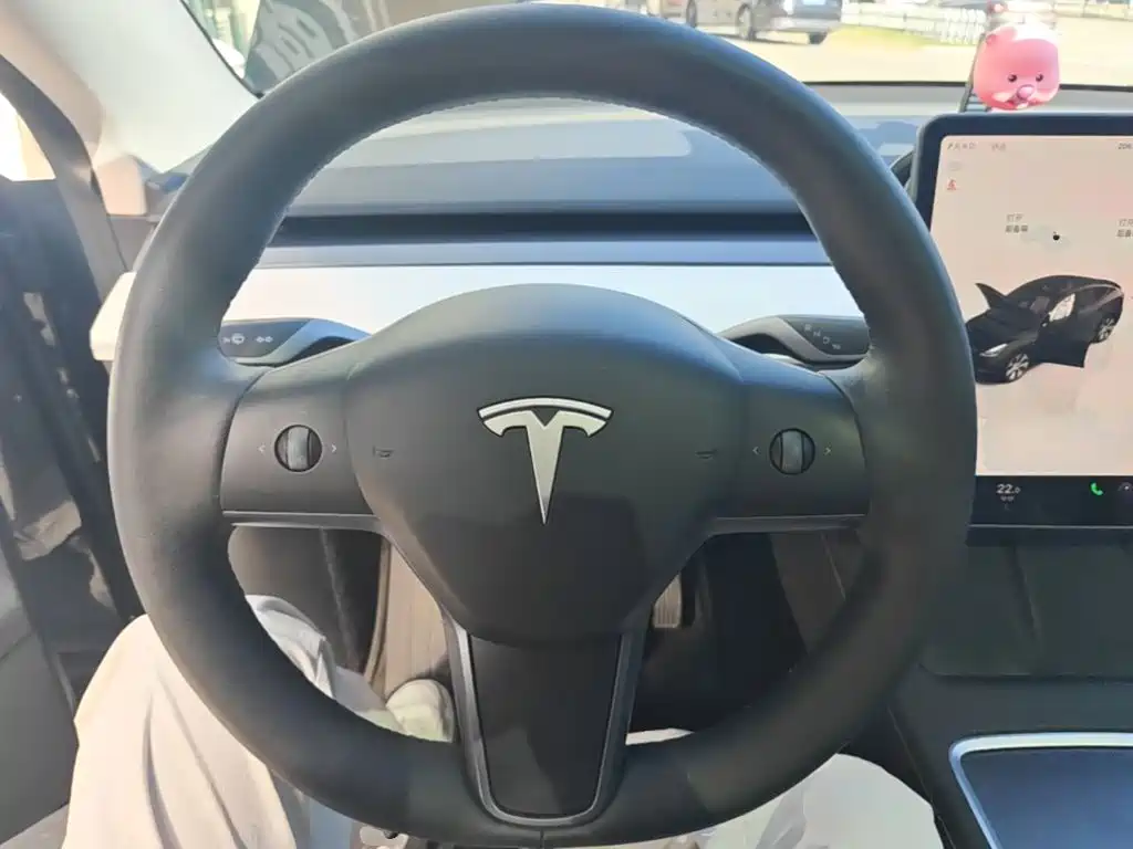 Tesla Model Y — фото 11