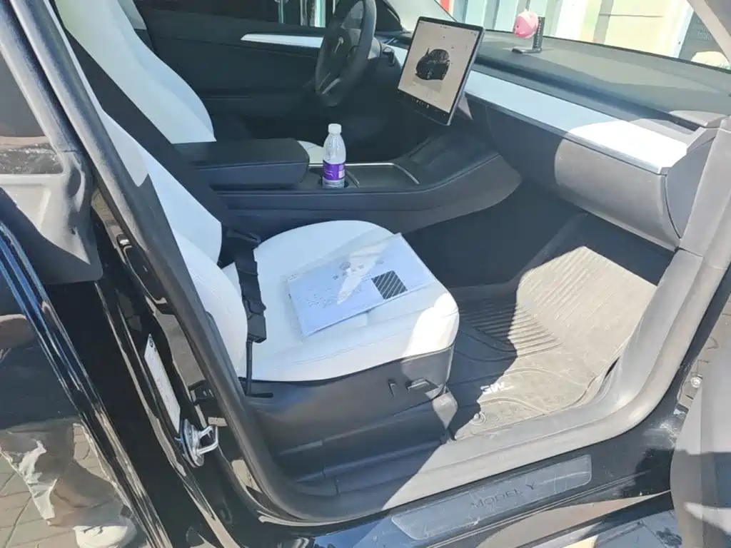 Tesla Model Y — фото 25