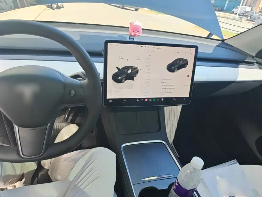 Tesla Model Y — фото 10