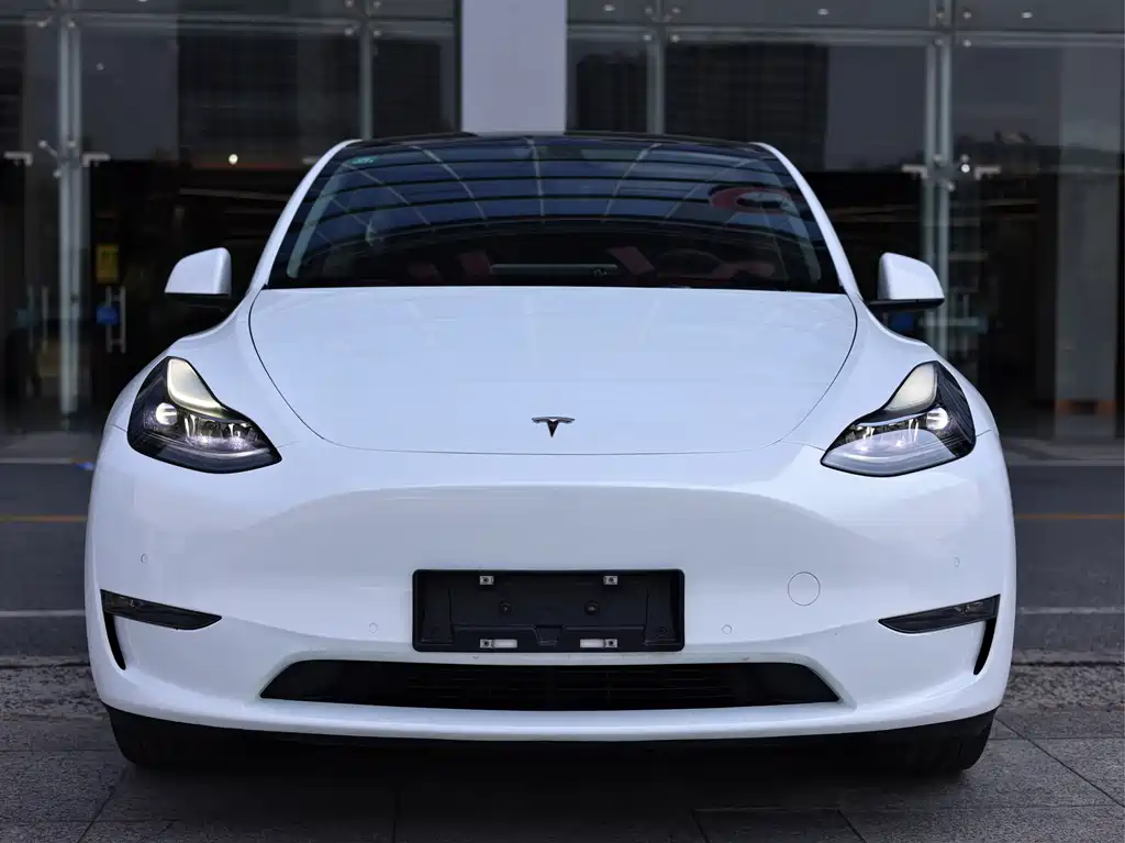 Tesla Model Y — фото 2