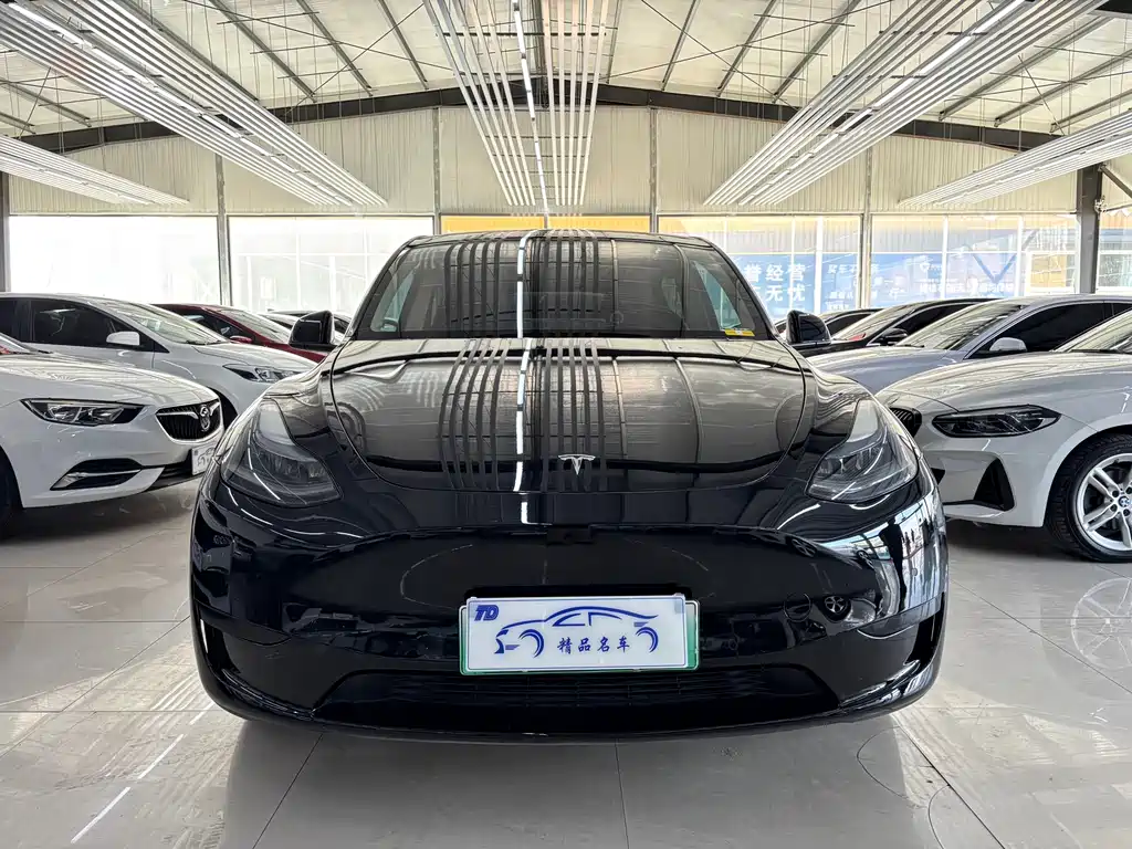Tesla Model Y — фото 2