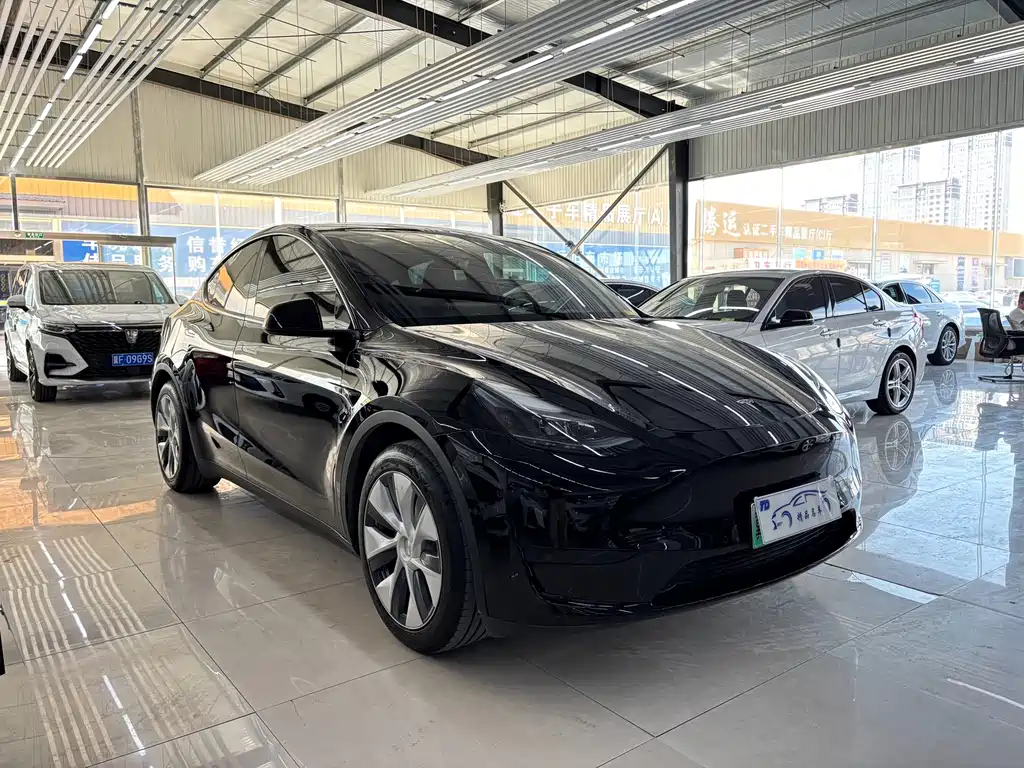 Tesla Model Y — фото 3