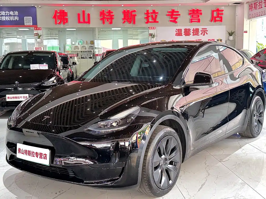 Tesla Model Y — фото 1