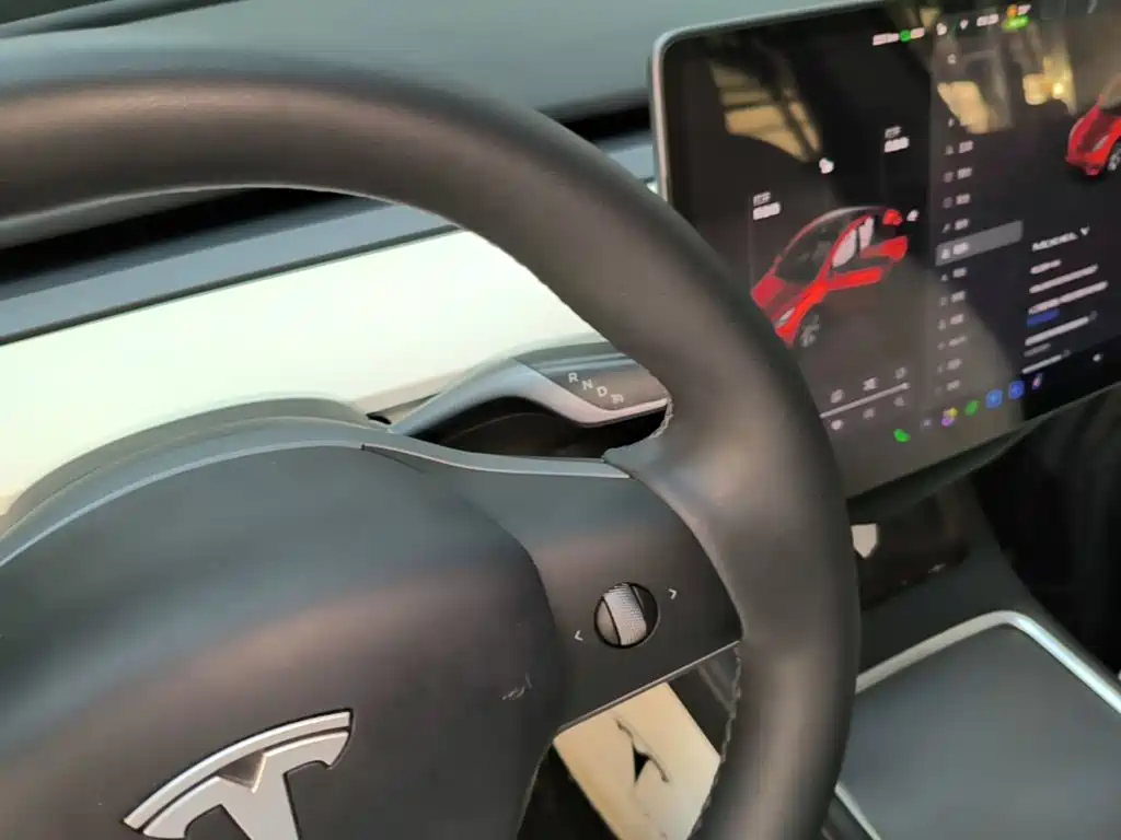 Tesla Model Y — фото 14