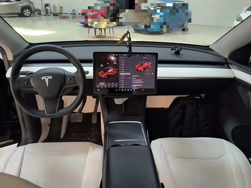 Tesla Model Y — фото 10