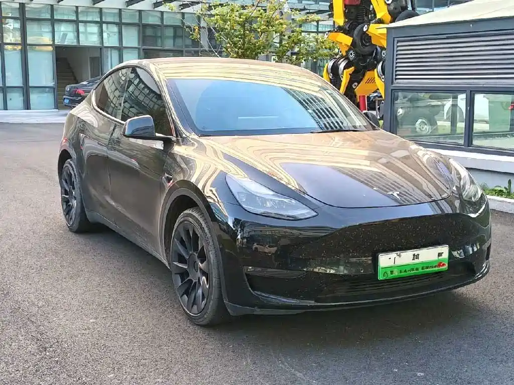 Tesla Model Y — фото 3