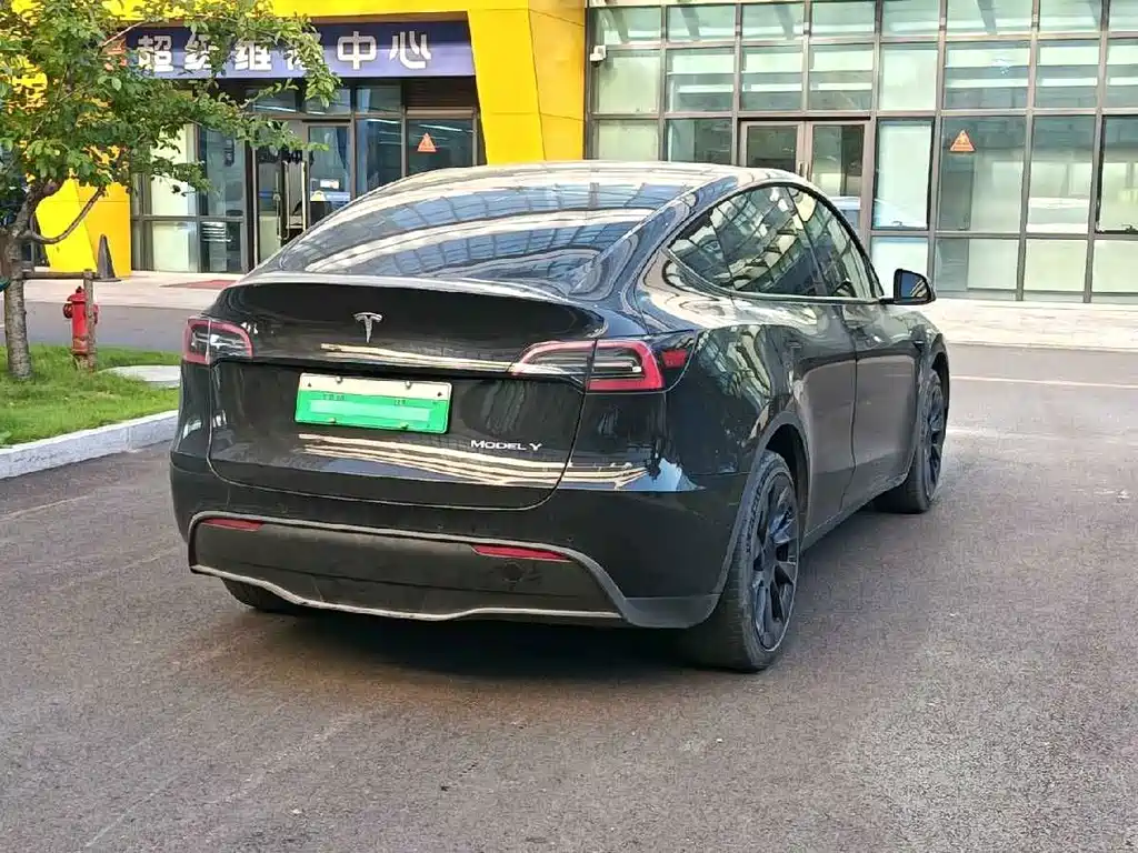 Tesla Model Y — фото 4