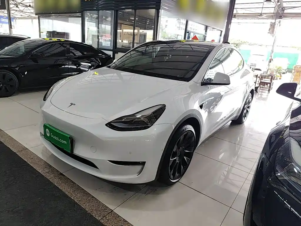 Tesla Model Y — фото 2