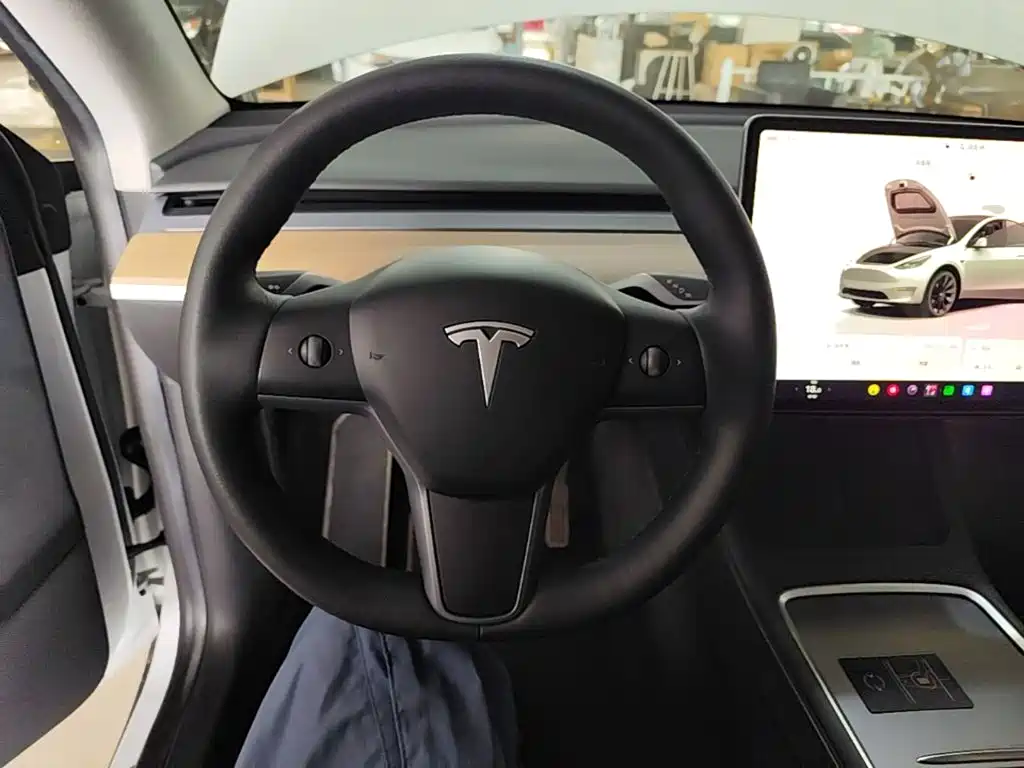 Tesla Model Y — фото 11