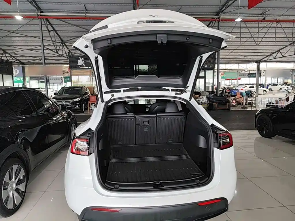 Tesla Model Y — фото 19