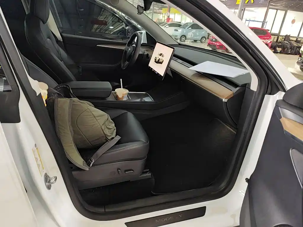 Tesla Model Y — фото 25