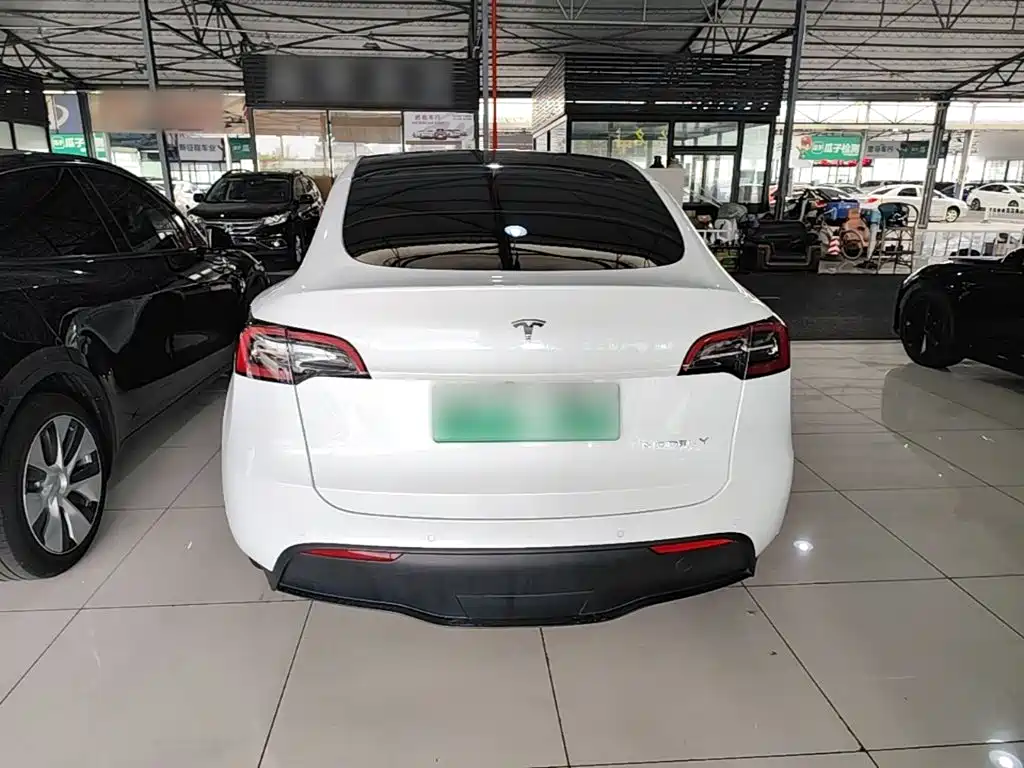 Tesla Model Y — фото 6