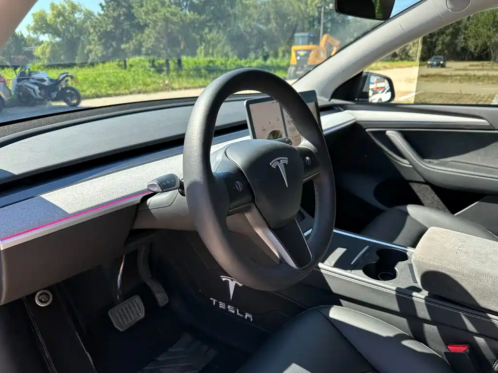 Tesla Model Y — фото 14