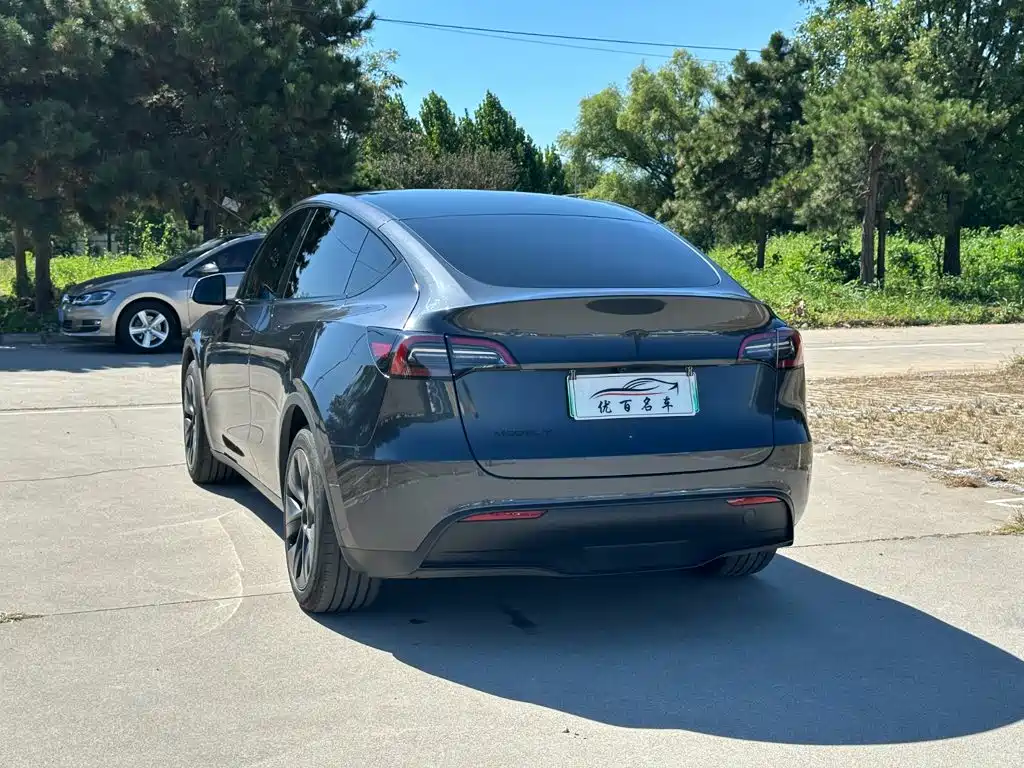 Tesla Model Y — фото 4