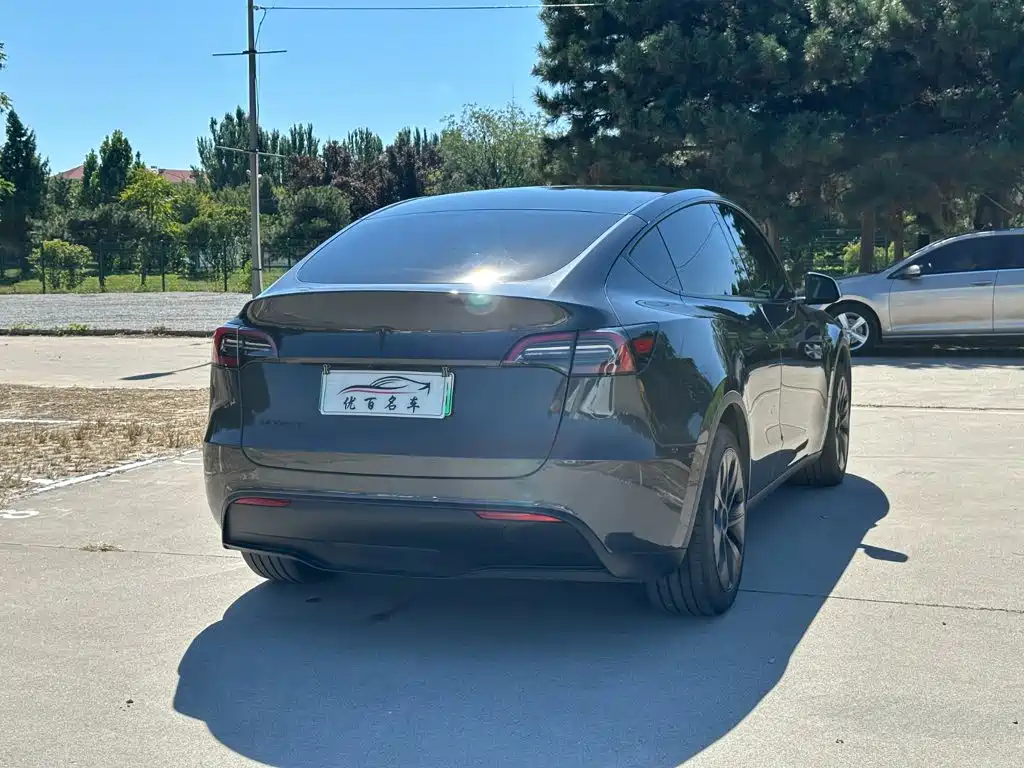 Tesla Model Y — фото 6