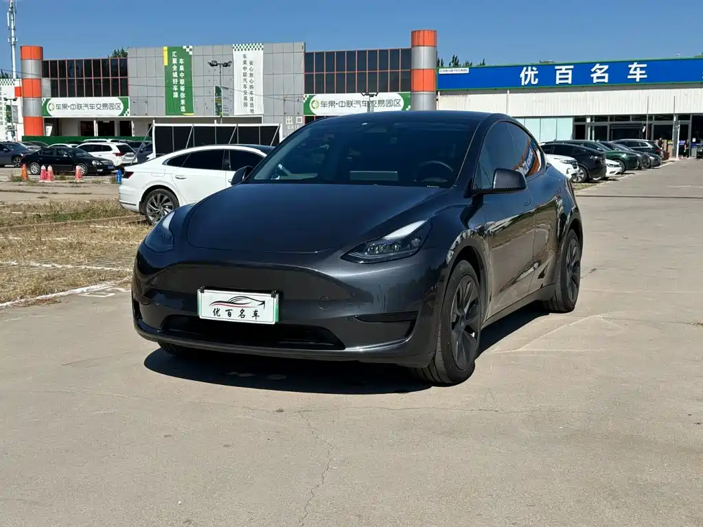 Tesla Model Y — фото 1