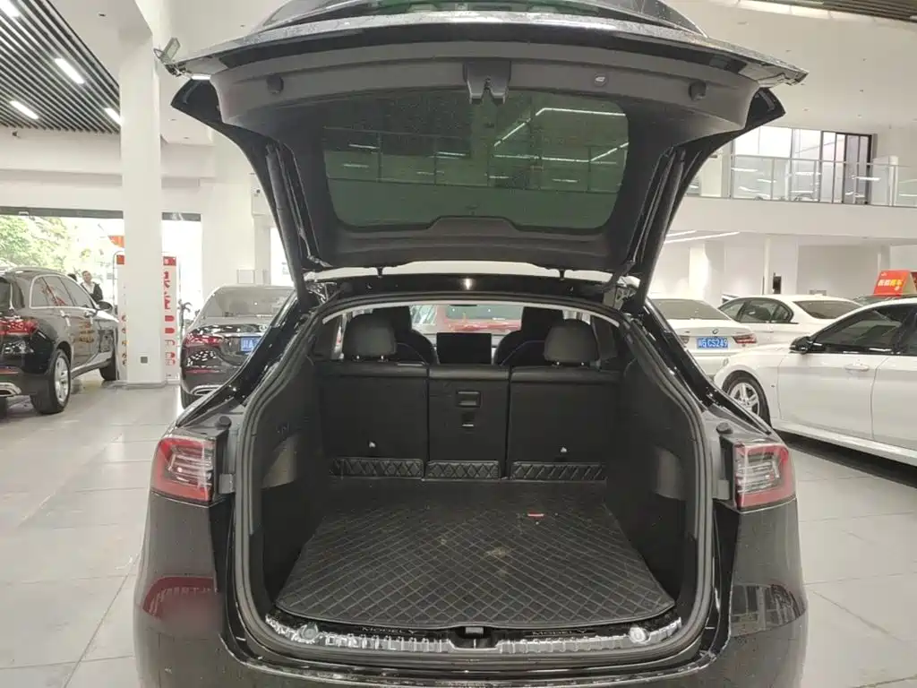 Tesla Model Y — фото 19