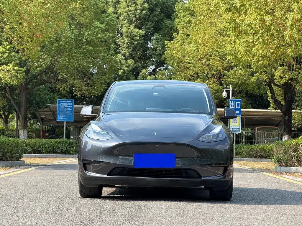 Tesla Model Y — фото 2