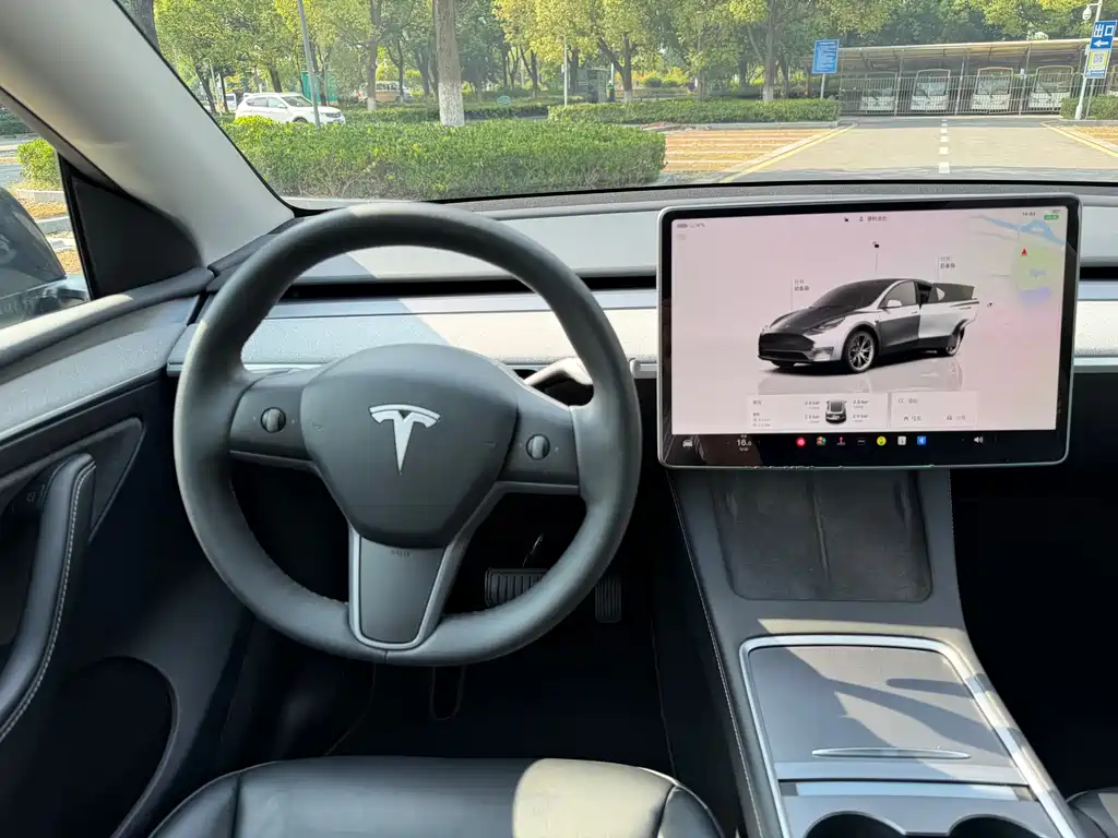 Tesla Model Y — фото 11