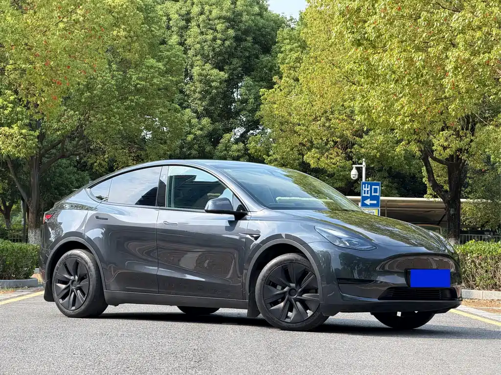 Tesla Model Y — фото 3