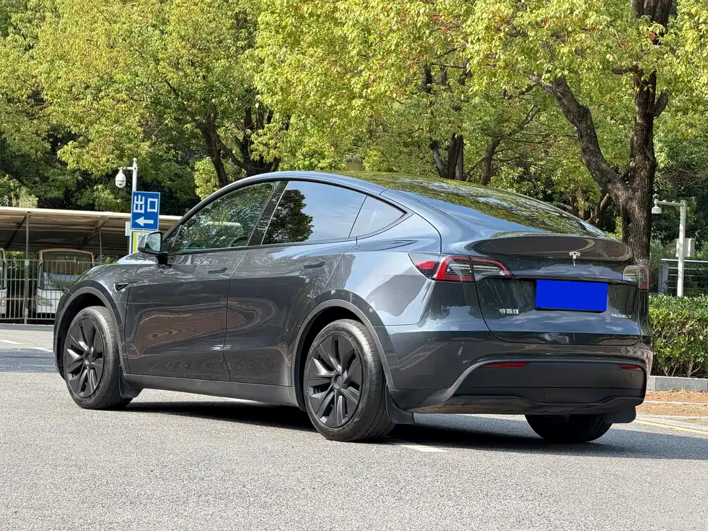 Tesla Model Y — фото 4