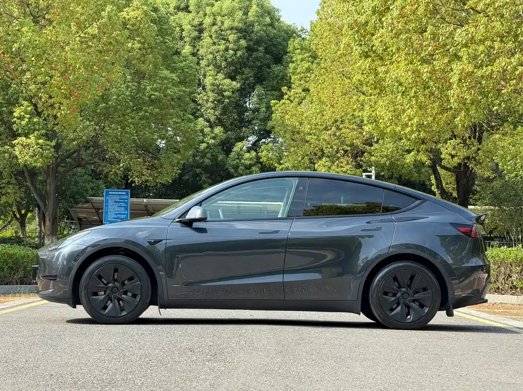 Tesla Model Y — фото 5