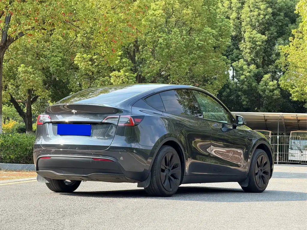 Tesla Model Y — фото 6