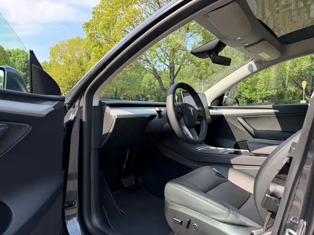 Tesla Model Y — фото 8