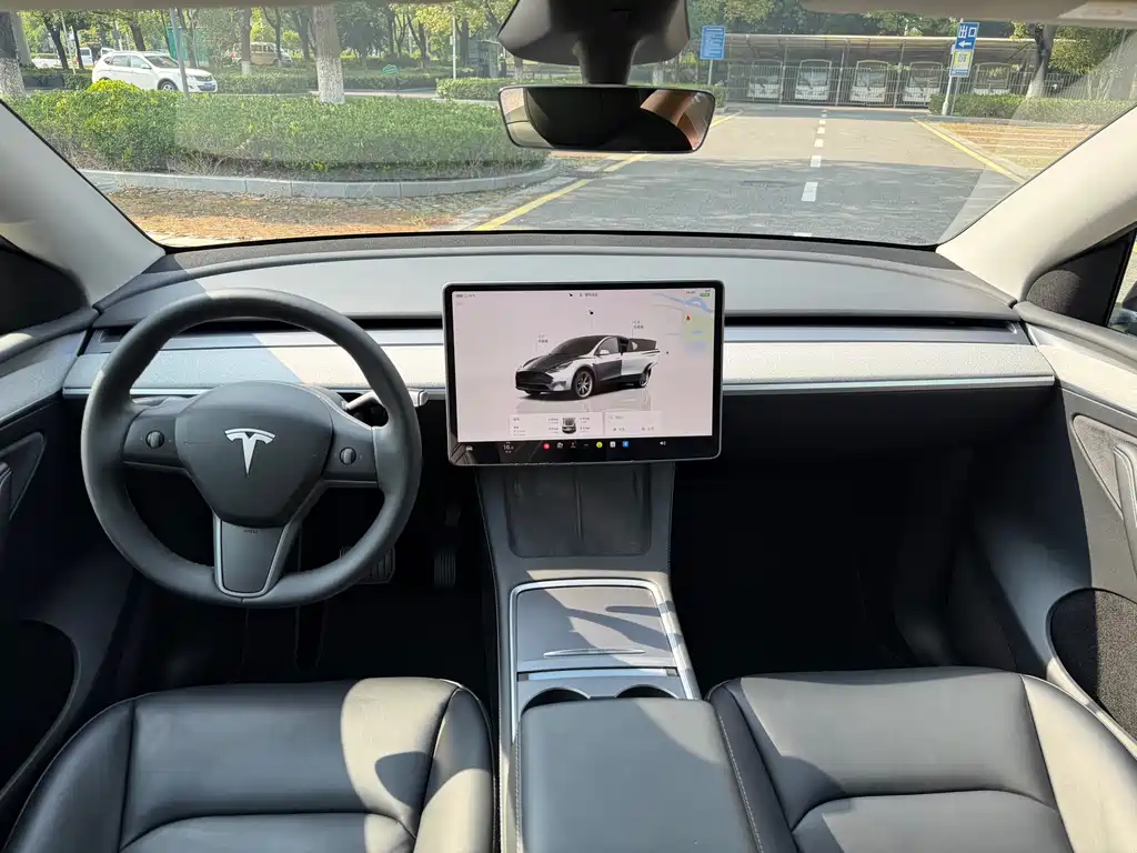 Tesla Model Y — фото 10