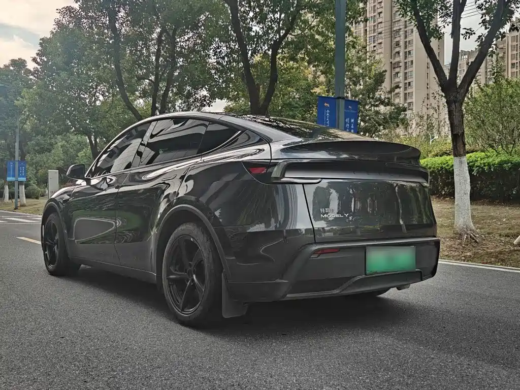 Tesla Model Y — фото 9