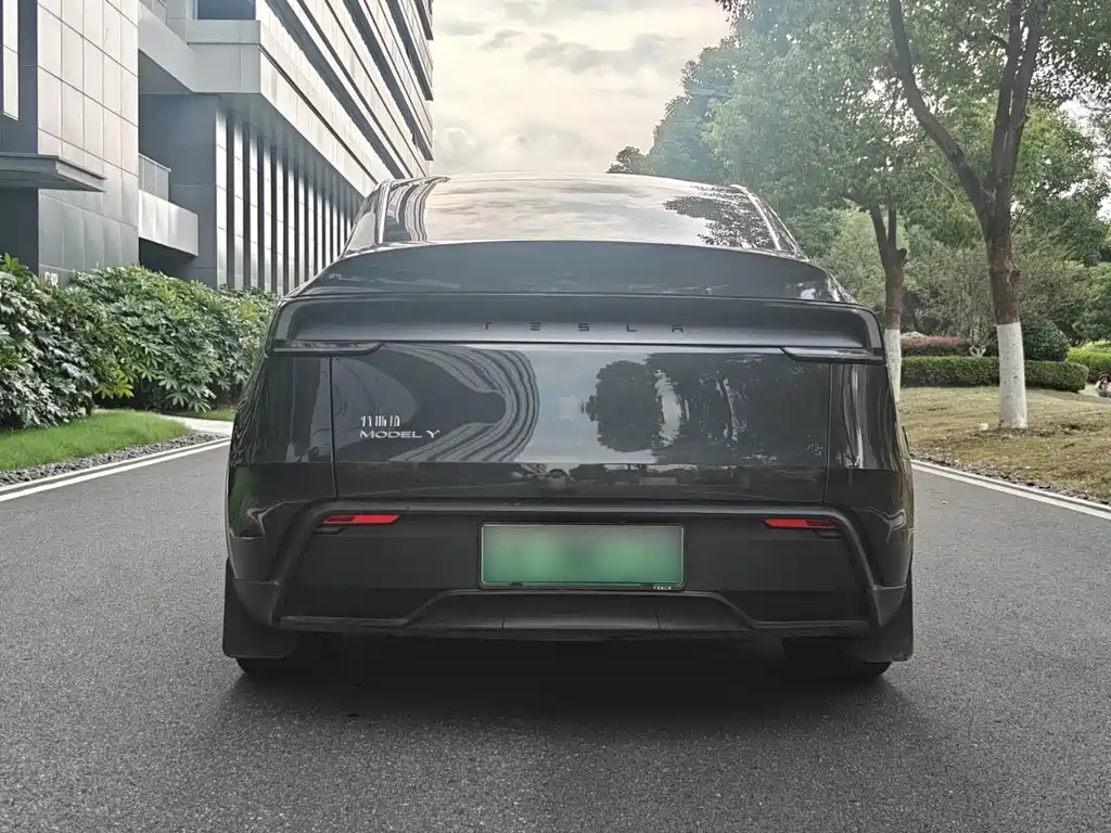 Tesla Model Y — фото 10
