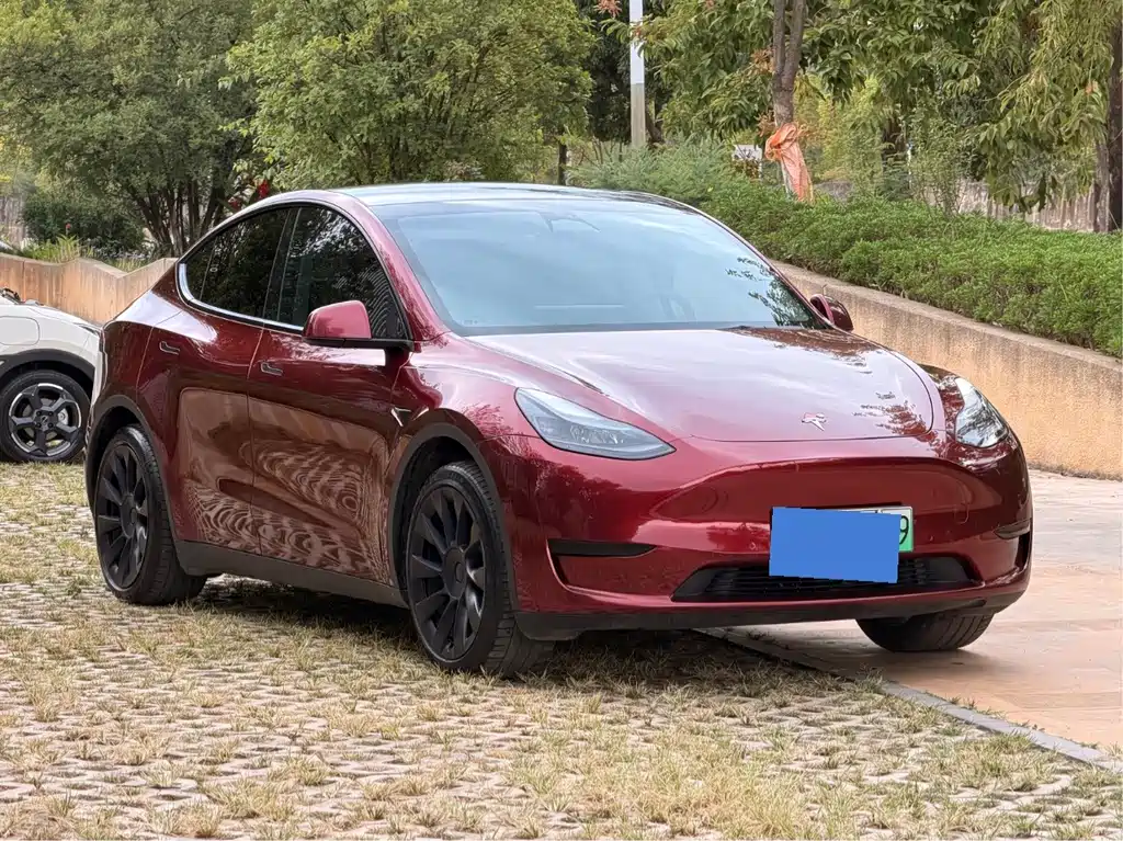 Tesla Model Y — фото 2