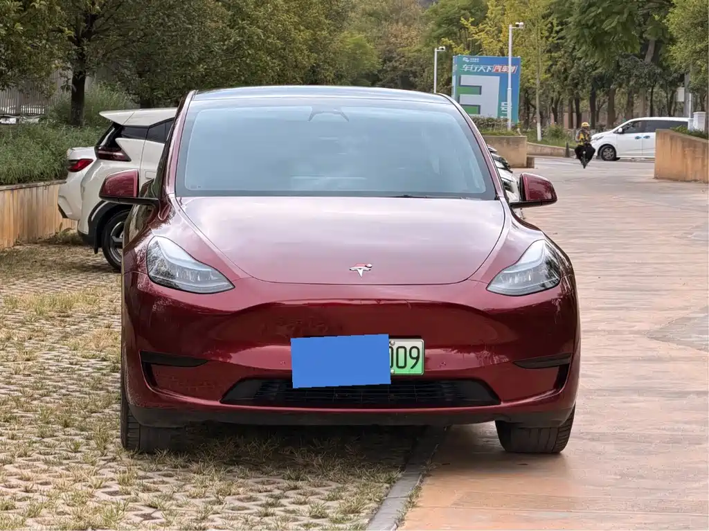 Tesla Model Y — фото 3