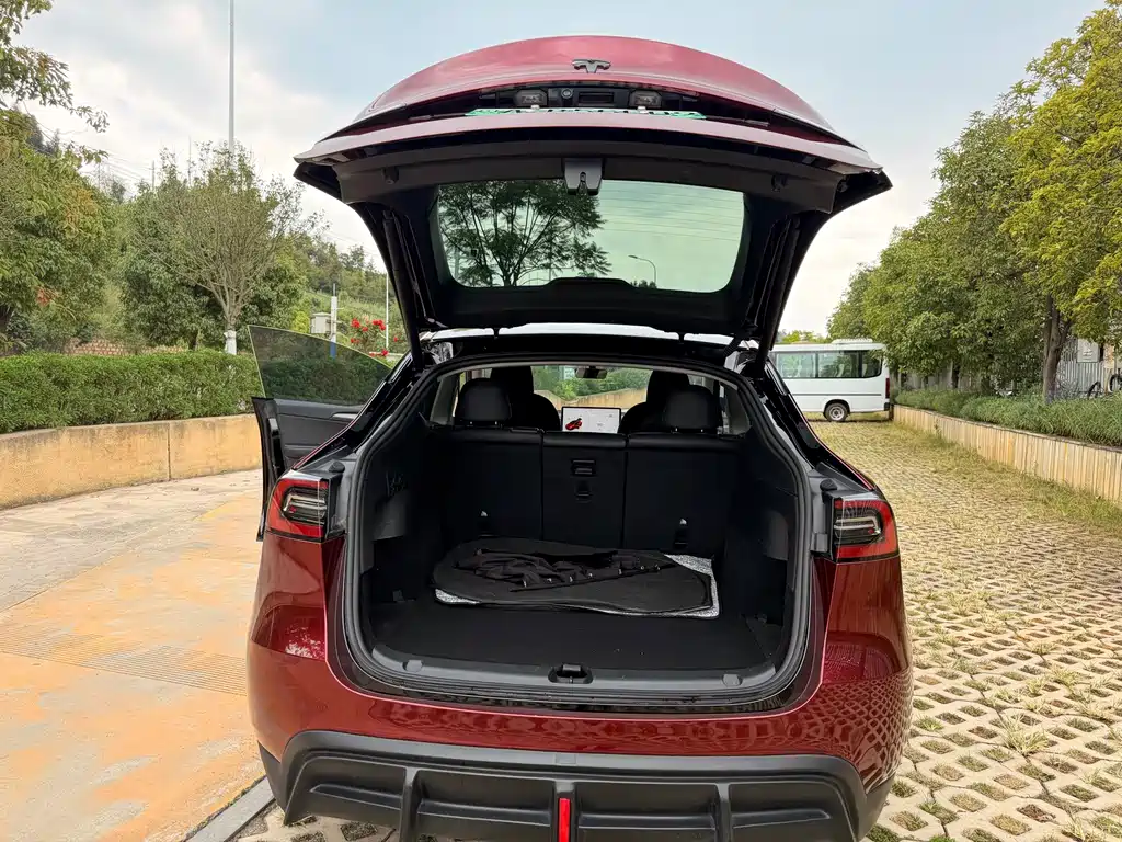 Tesla Model Y — фото 24