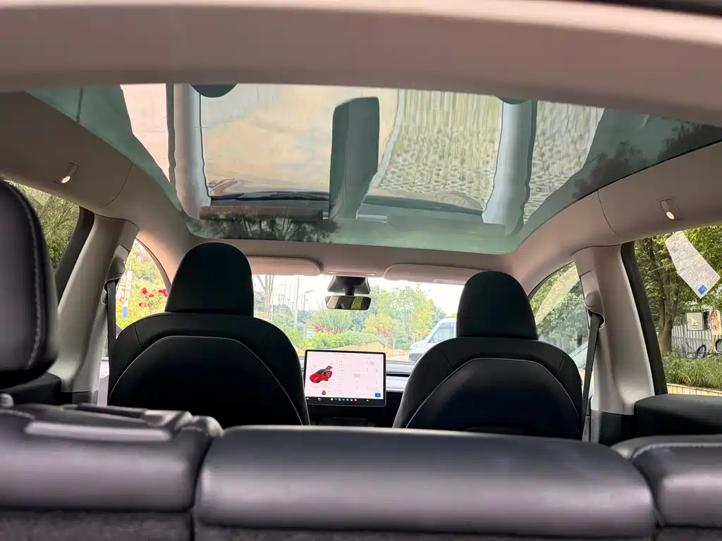 Tesla Model Y — фото 25