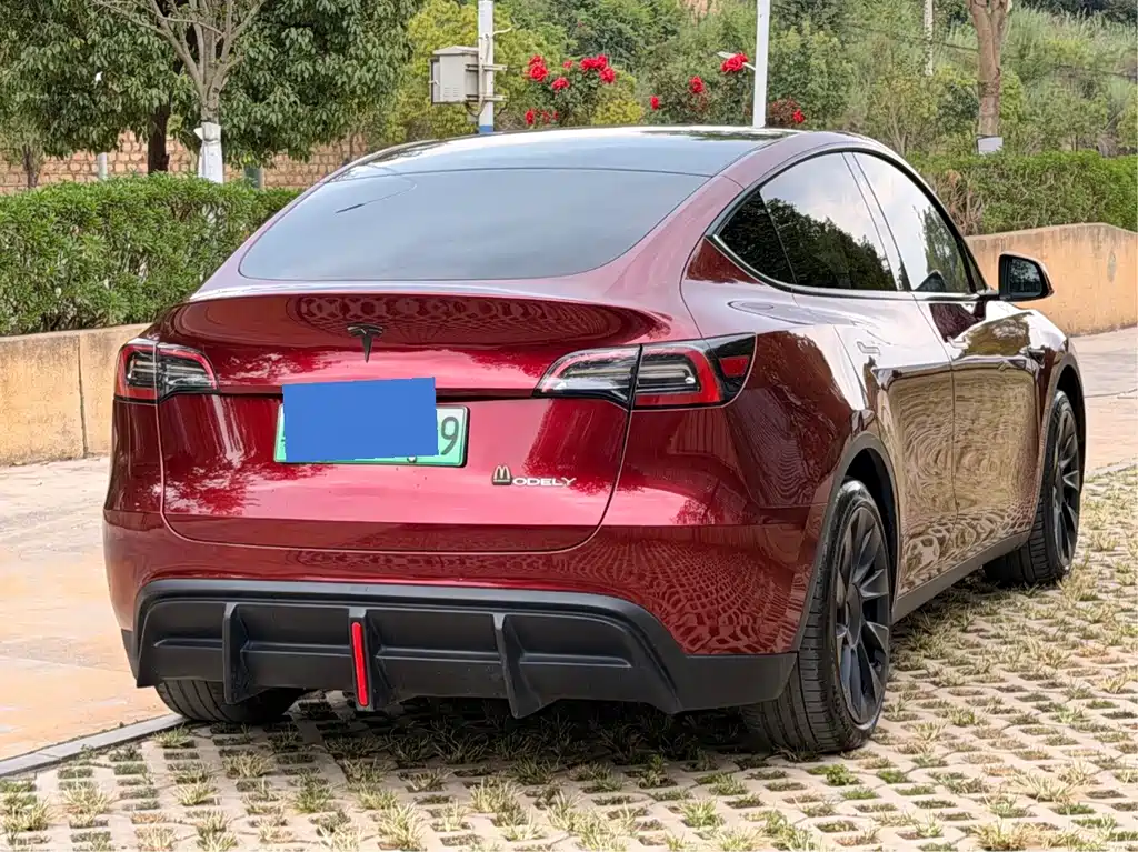 Tesla Model Y — фото 6