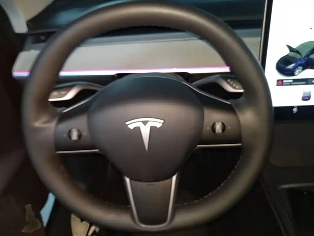 Tesla Model Y — фото 11