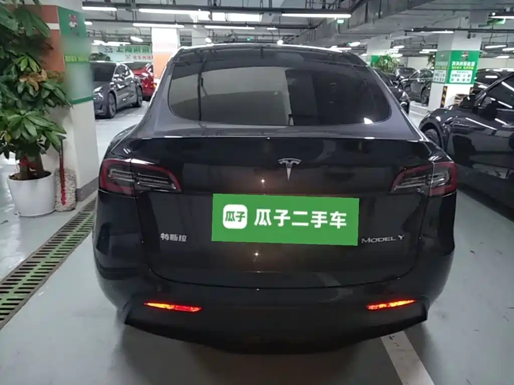 Tesla Model Y — фото 6