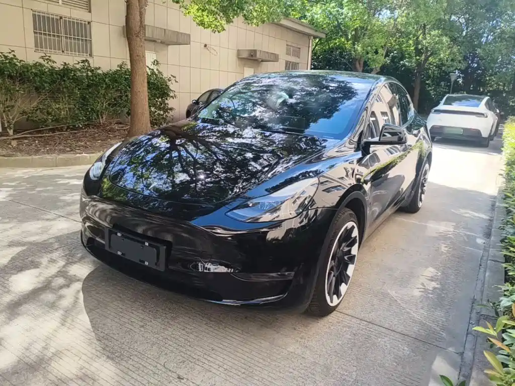 Tesla Model Y — фото 2