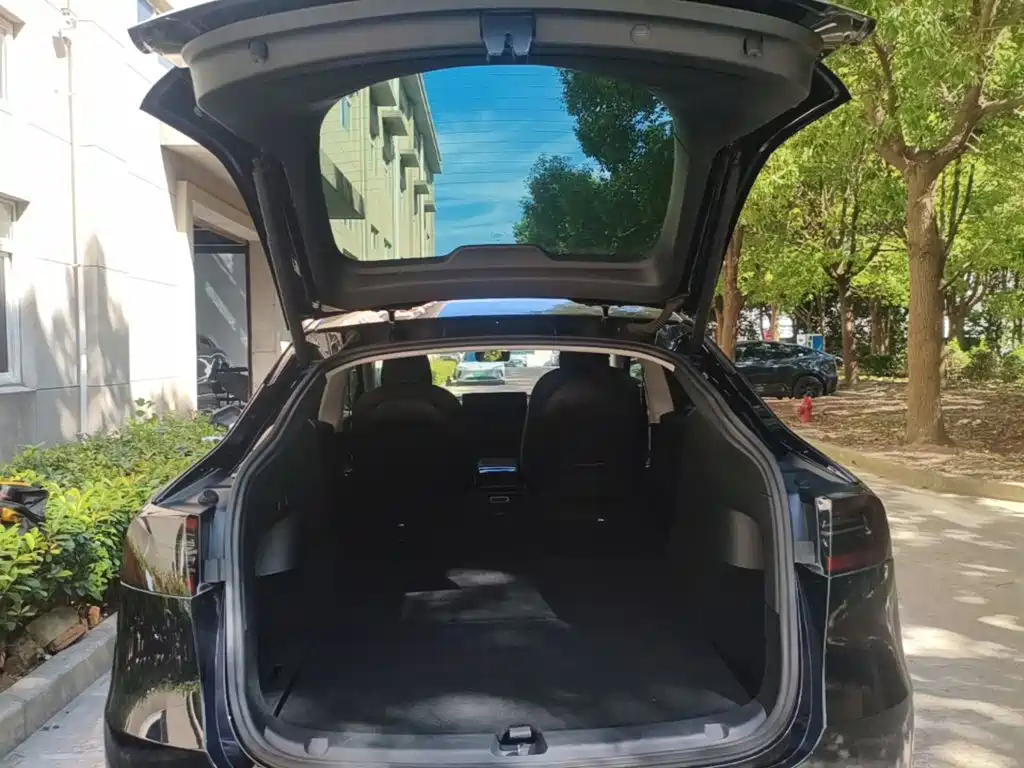Tesla Model Y — фото 19