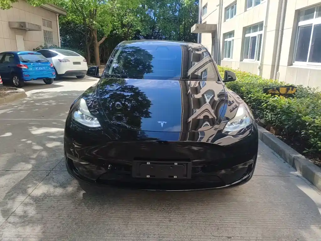 Tesla Model Y — фото 3
