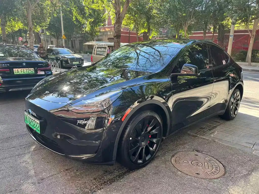 Tesla Model Y — фото 2