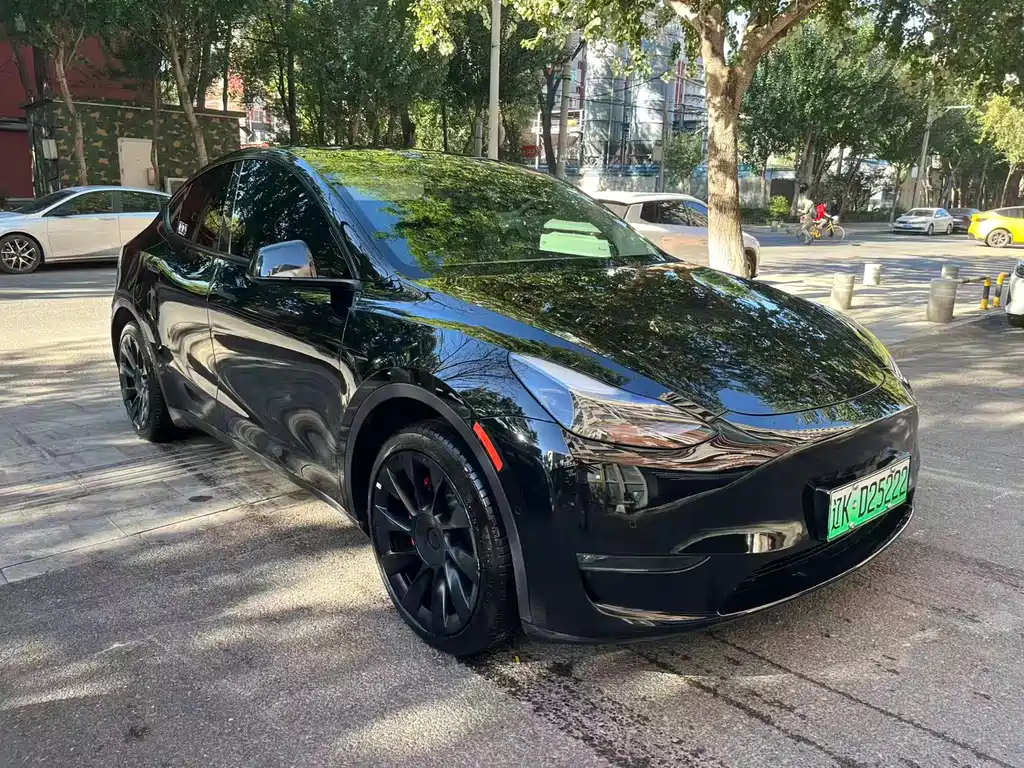Tesla Model Y — фото 3