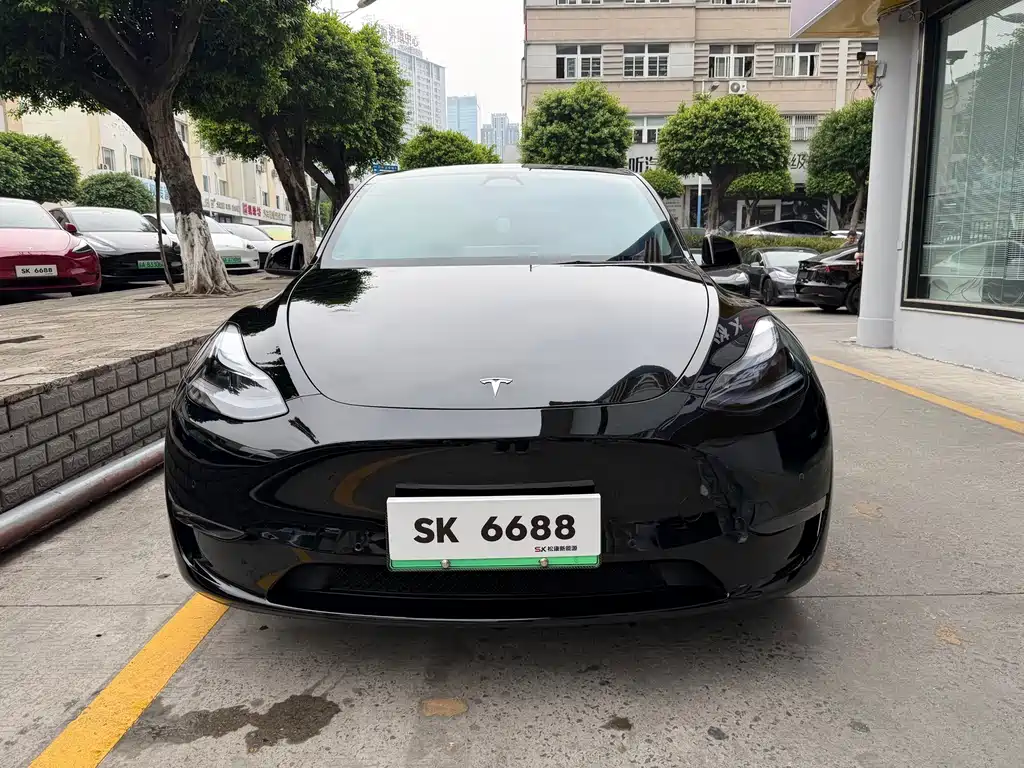 Tesla Model Y — фото 2